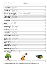 DSS_2S_Bu_p_Nr_08.pdf